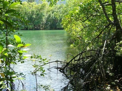 Apartamento Port Douglas Retreat