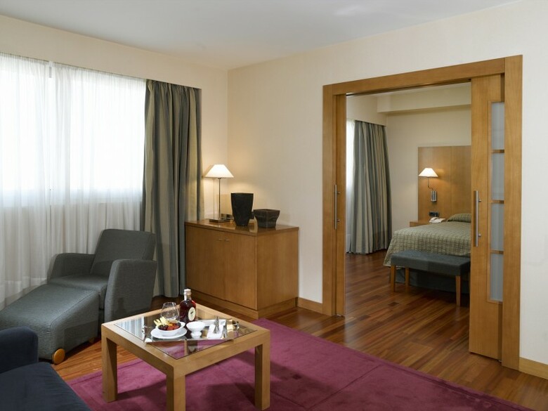 Hotel NH Pamplona Iru�a Park