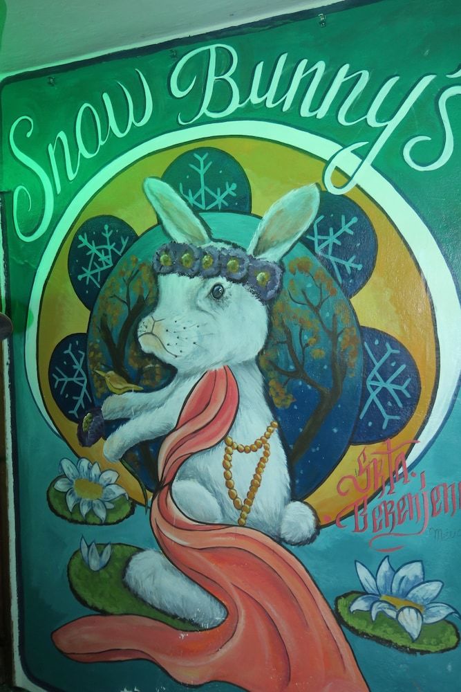 Hostal Snowbunnys Backpackers Hostel