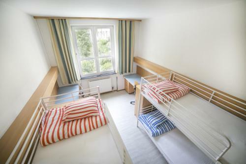 Hostal Muffin Hostel
