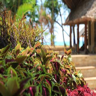 Hotel Tulia Zanzibar