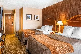 Hotel Comfort Inn Ann Arbor Area