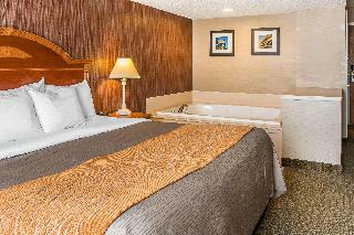 Hotel Comfort Inn Ann Arbor Area