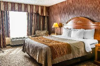 Hotel Comfort Inn Ann Arbor Area