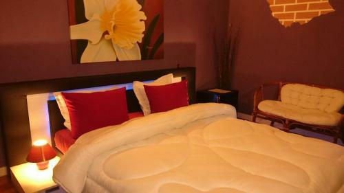 Hotel Rimini Club