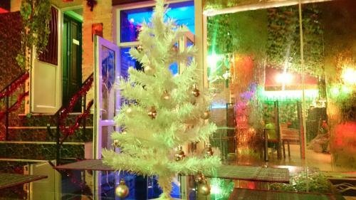 Hotel Rimini Club