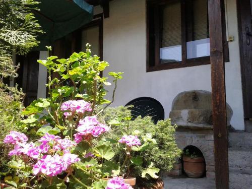 Hostal Hostel Pashov