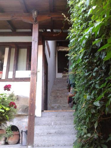 Hostal Hostel Pashov