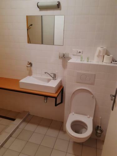 Hotel Src Lihovar