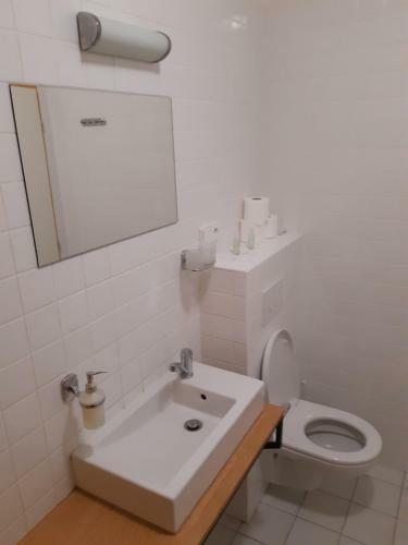 Hotel Src Lihovar