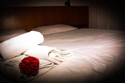 Hotel Morava