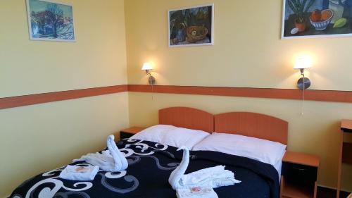 Hotel Morava