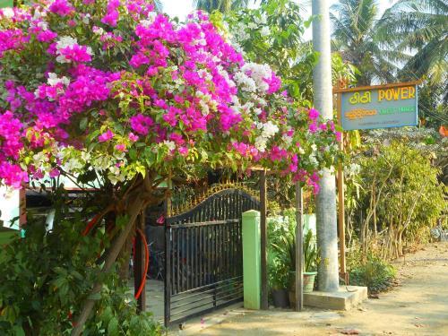 Hostal Power Guesthouse