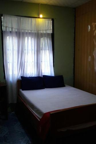 Hostal Power Guesthouse