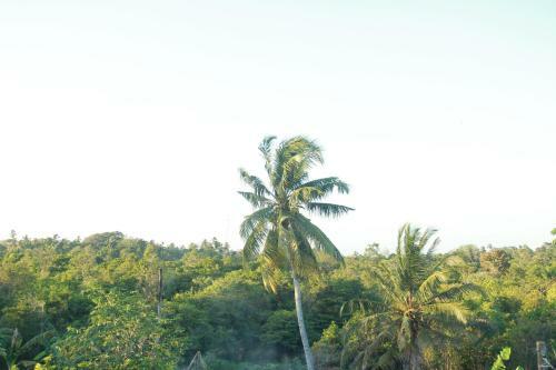 Hostal Kadolana Villa