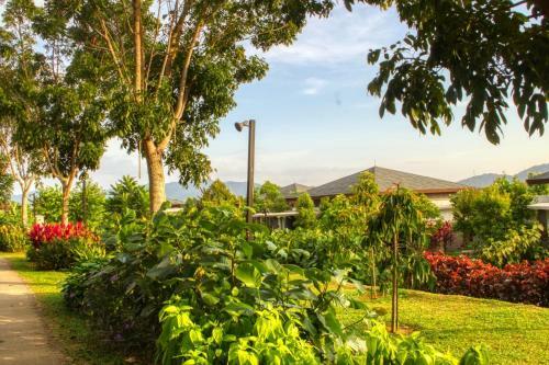 Hotel Mangala Resort And Spa - All Villa