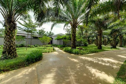 Hotel Mangala Resort And Spa - All Villa