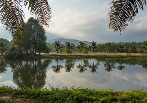 Hotel Mangala Resort And Spa - All Villa