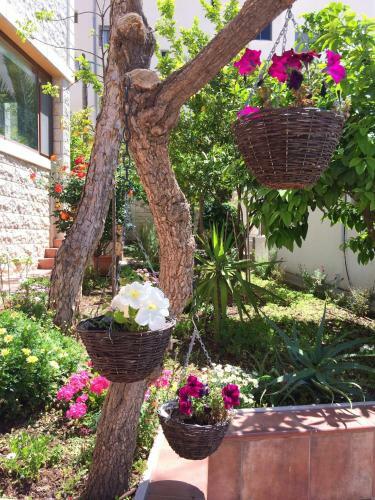 Hostal Miriam Short Term Rental
