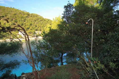 Apartment Uvala Stoncica 8941a