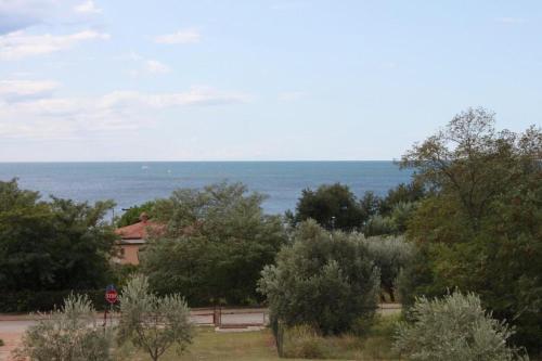 Hostal Studio Zambratija 7059a