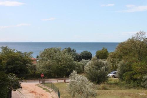 Hostal Studio Zambratija 7059a