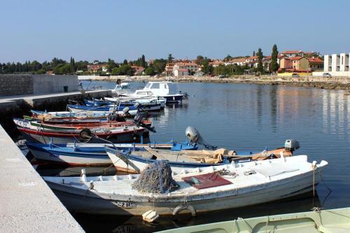 Hostal Studio Zambratija 7059a