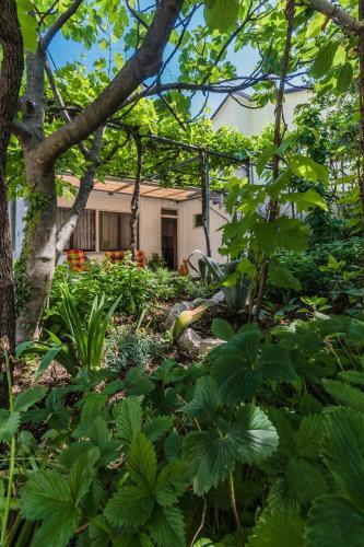 Apartamentos Loredana Blue