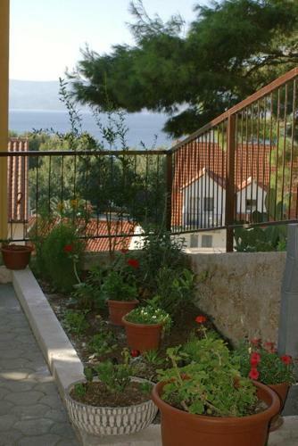 Apartment Duce 2829a