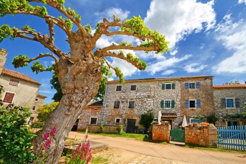 Agroturismo Apartment Casa Malena