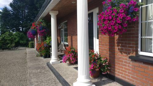 Carramore Lodge Bed And Breakfast