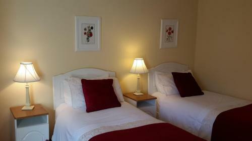 Carramore Lodge Bed And Breakfast