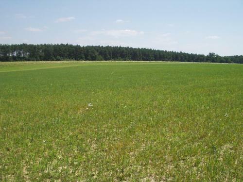 Apartamento Liget Vend�gh�z