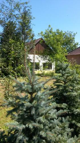 Apartamento Liget Vend�gh�z