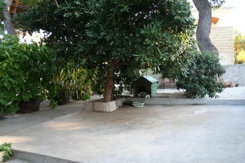 Apartments With A Parking Space Mirca (brac) - 729