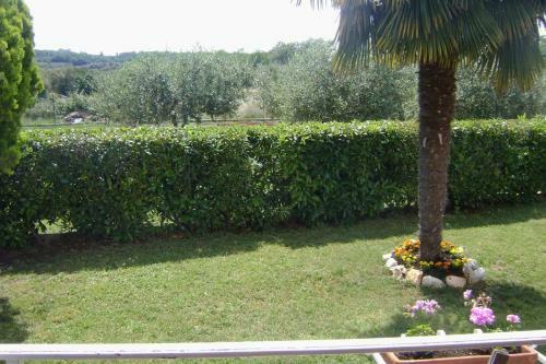 Apartment Babici 2531c