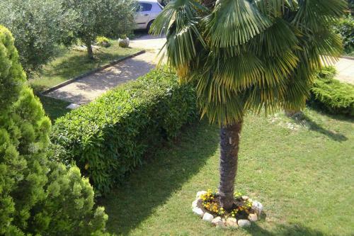 Apartment Babici 2531c