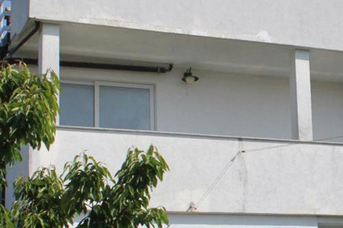 Apartment Babici 2531c