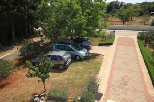 Hostal Studio Susica 8265b