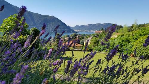 Apartamento La Finestra Sul Lago