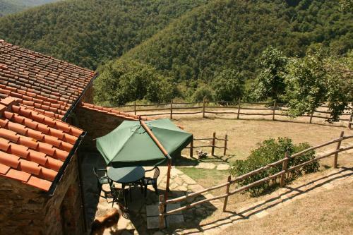 Villa Tribbiano