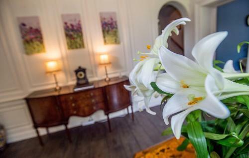 Bed & Breakfast The Elm Tree
