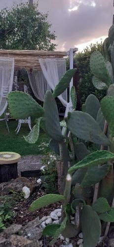 Apartamento Casa Isabella