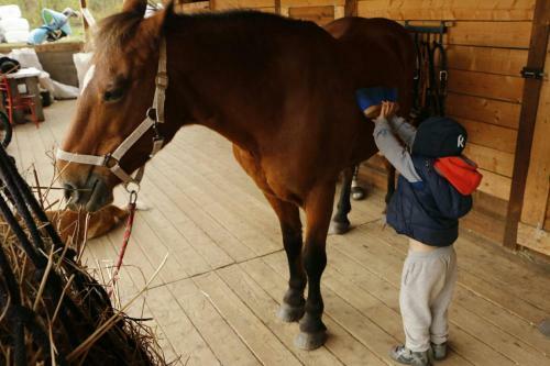 Agroturismo Baza Otdyha Michurinskiy Dvorik