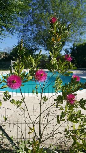 Les Bruy�res