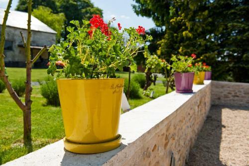 Bed & Breakfast Le Prieur� Chambres D'h�tes