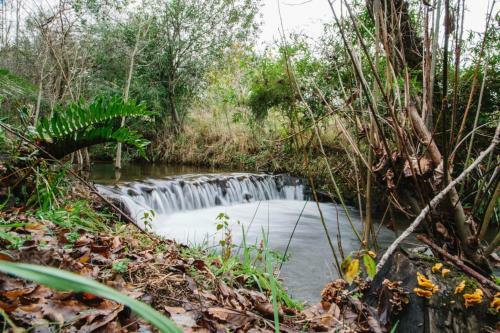 Lodge Caba�as Agua Viva