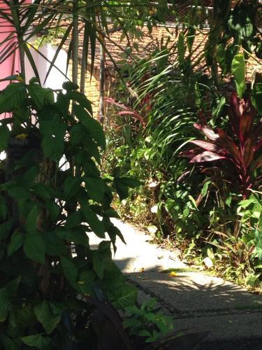 Hostal Pousada Das Amendoeiras