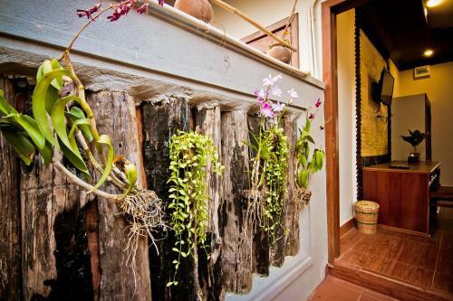 Hotel Ravorn Villa Boutique