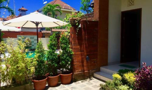 Apartamentos Merpati - Studios